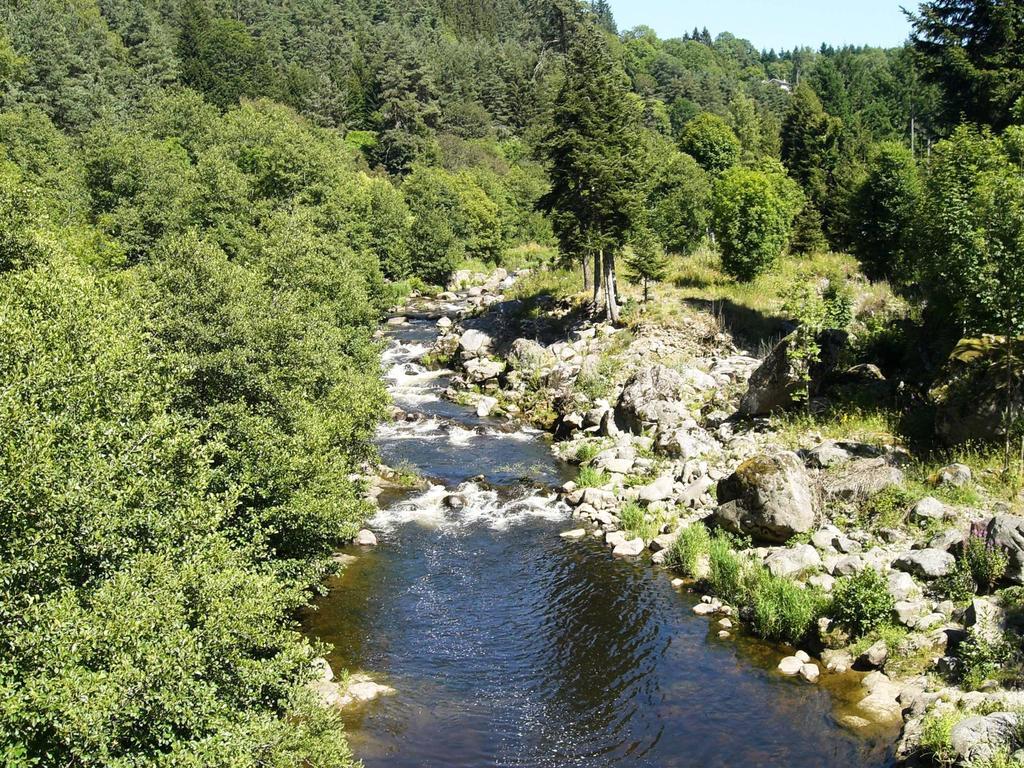 Vvf Haute Loire Haute Ardeche Tence Exteriér fotografie